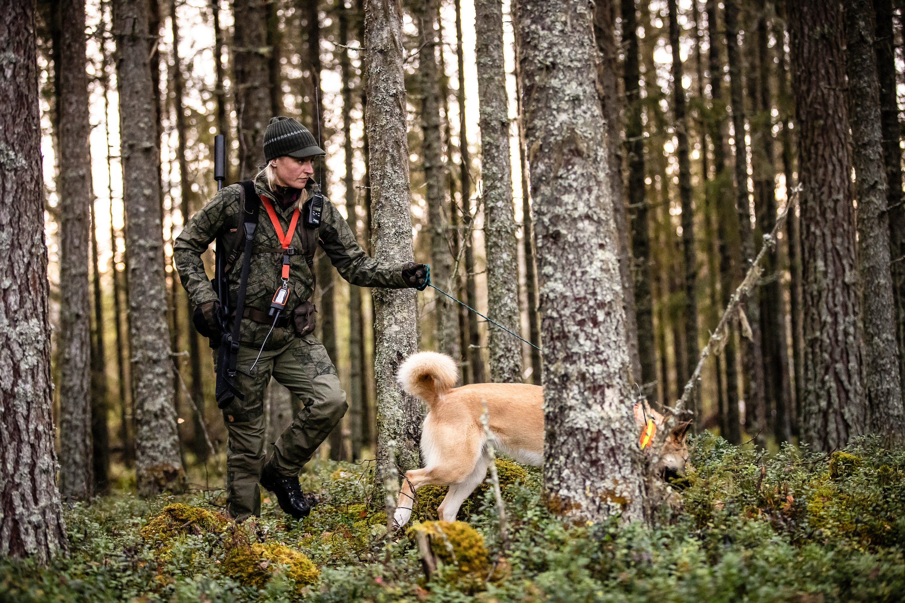 Lappland Hybrid Jacket W